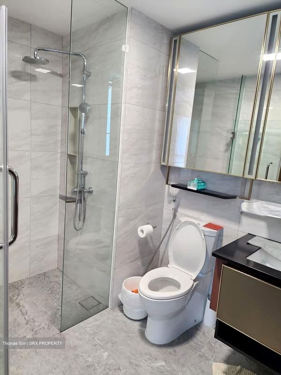 Normanton Park (D5), Apartment #602737391